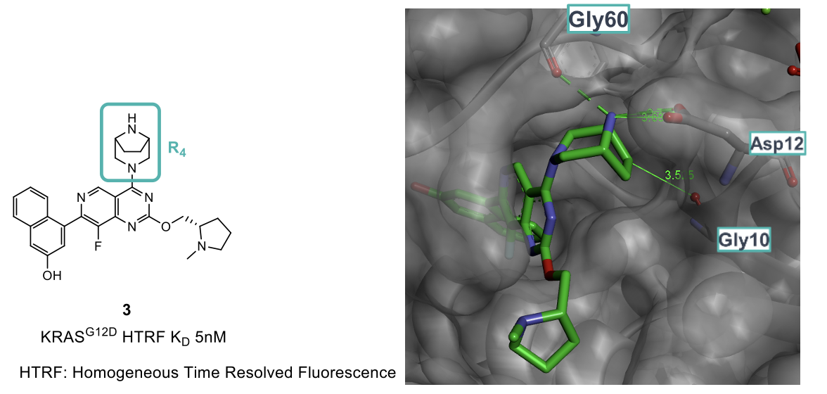 Rigidifying the piperazine R4 group 