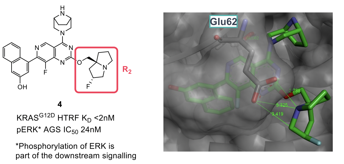 R2 basic group coming off the pyrimidine core