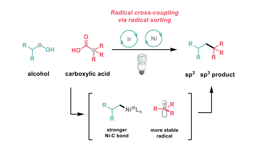 Radical cross-coupling