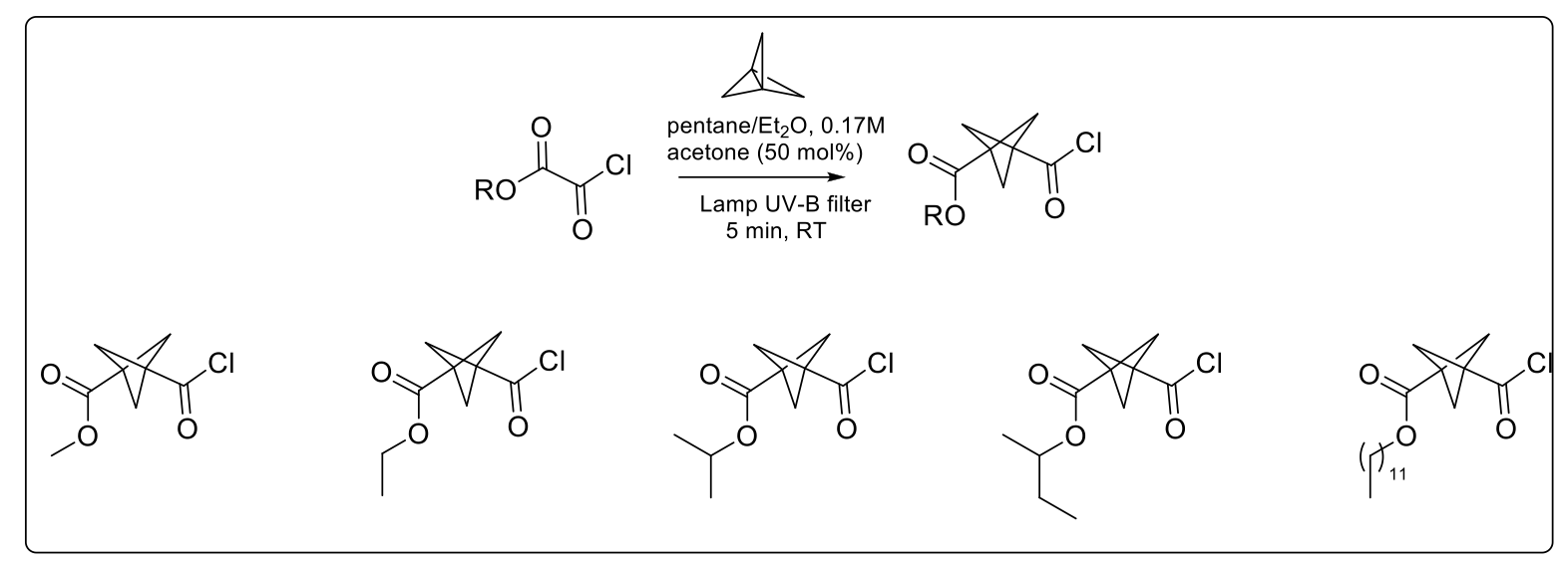 Scheme 1: Examples of mixed ester/acyl chlorides BCPs