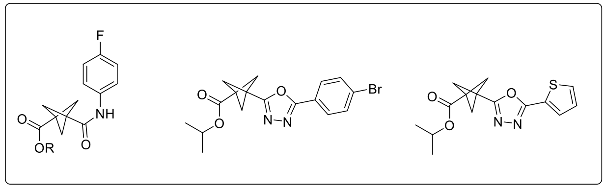 Scheme 2: Examples of BCP ester/amide and BCP oxadiazoles