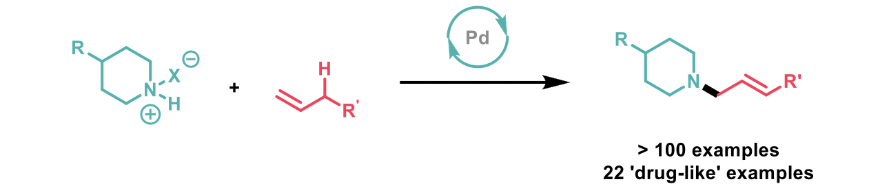 Drug-like examples reaction