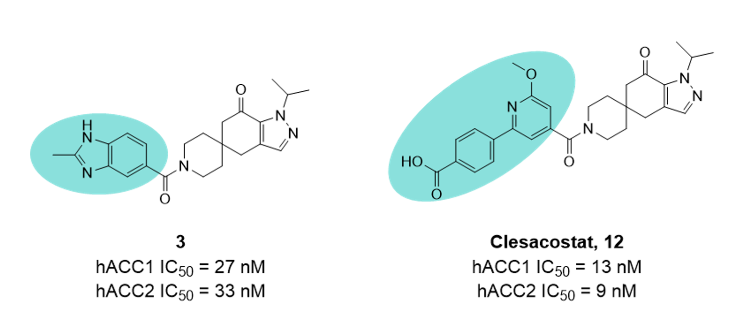 Clesacostat (12)