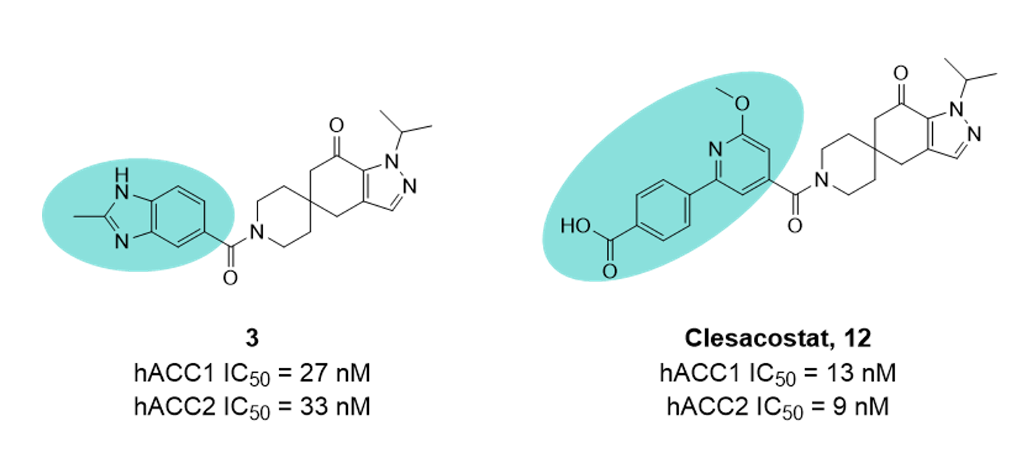 Clesacostat (12) 