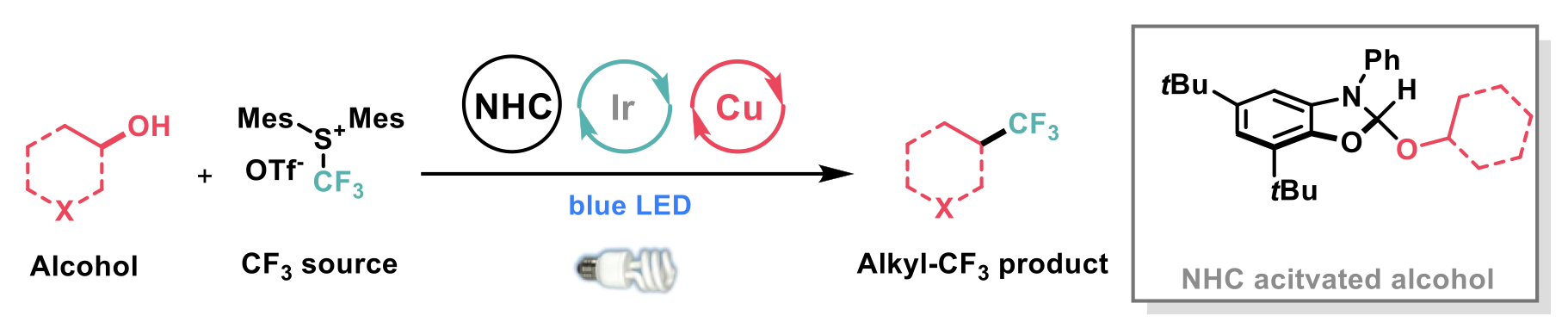 Diagram 5