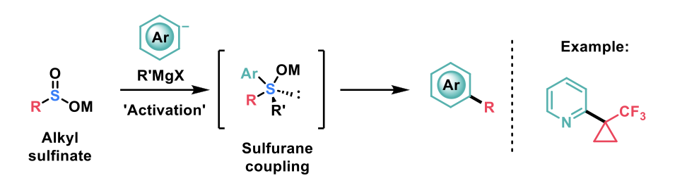 programmable and stereospecific installation of alkyl bioisosteres via sulfurane-mediated C(sp3)-C(sp2) cross-coupling of the respective alkyl sulfinates.