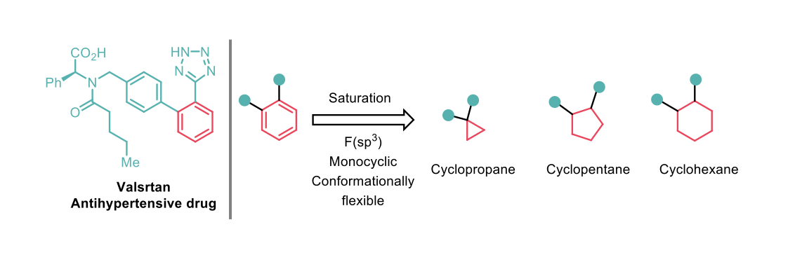 synthesis of 2-oxabicyclo[2.1.1]hexanes