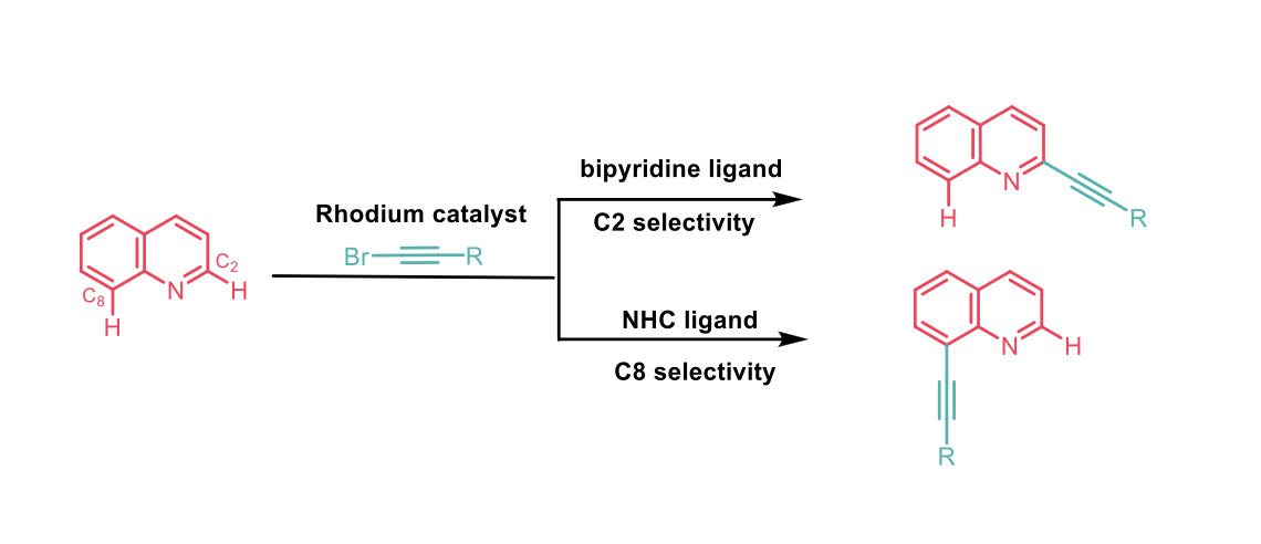 regioselectivity ratio between C2 and C8