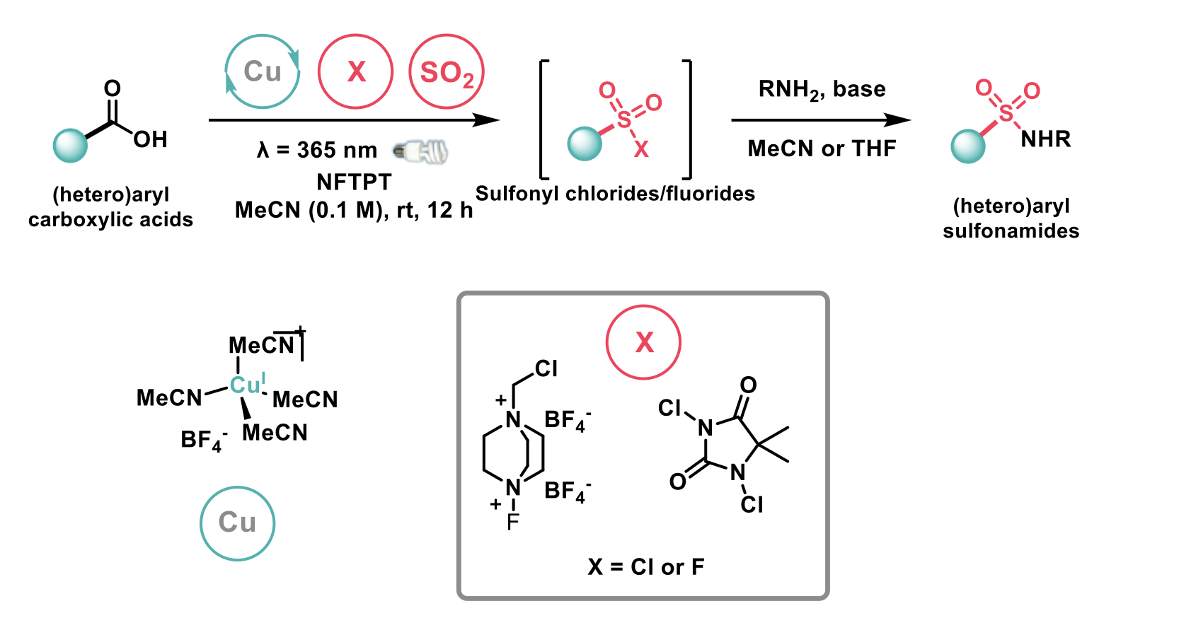 methodology for accessing (hetero)aryl sulfonamides from (hetero)aryl carboxylic acids