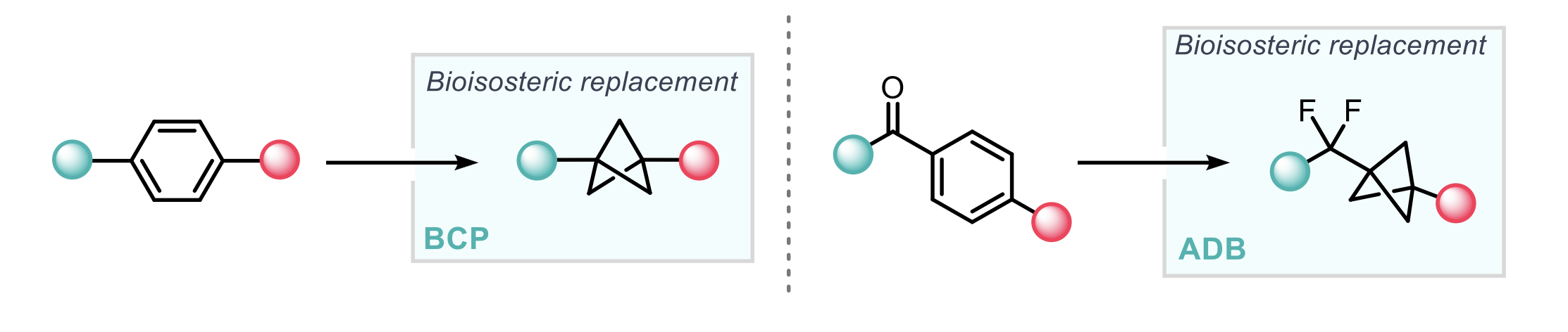 Small-ring cage hydrocarbons (such as bicyclo- [1.1.1]pentane (BCP)) remain a popular bioisostere for benzene rings. Whilst, Zhang and co-workers report the use of difluoromethyl BCP arenes as a replacement for a benzoyl group.