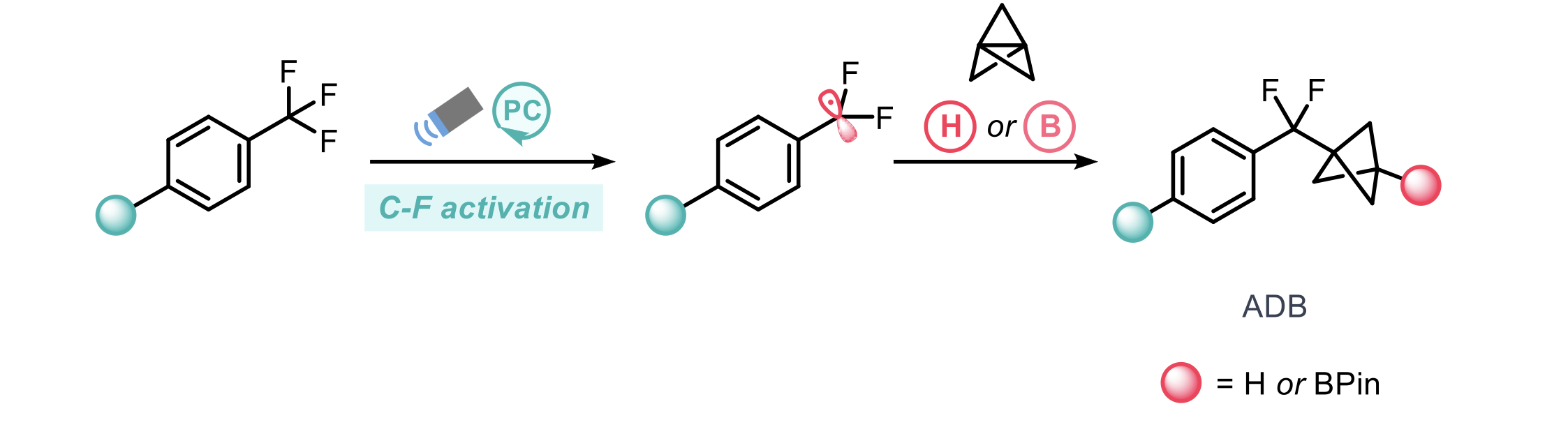 Readily available trifluoromethyl arenes are converted to aryl difluoromethyl bicyclopentane (ADB) scaffolds.