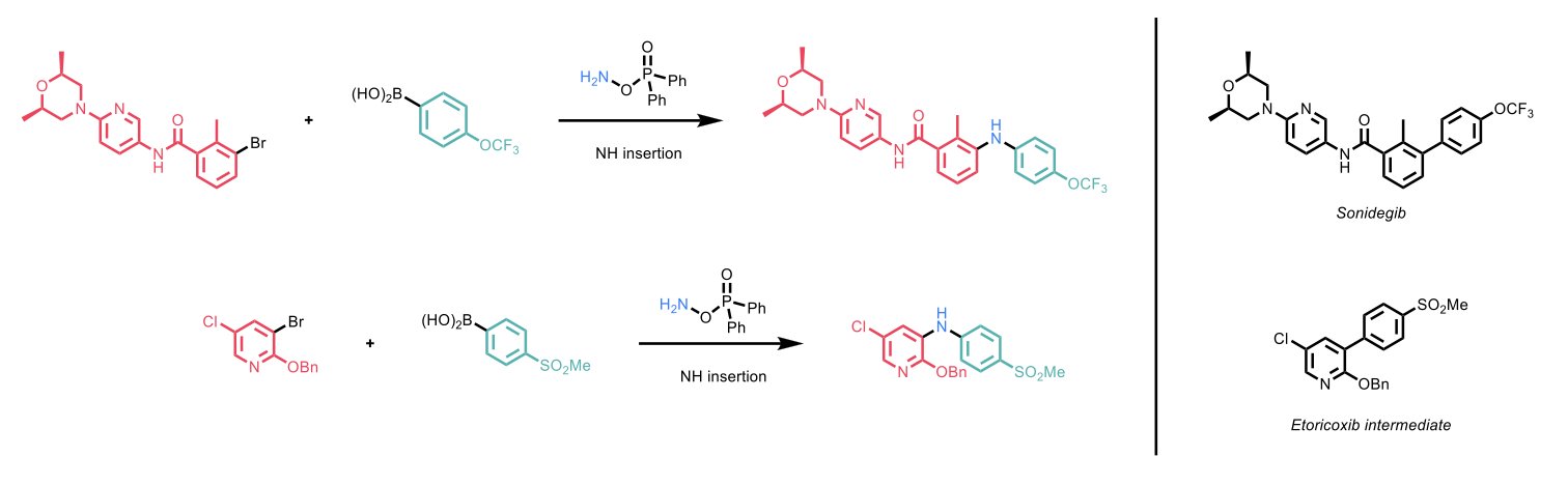 The synthesis of analogues of Sonidegib and Etoricoxib with NH insertions.