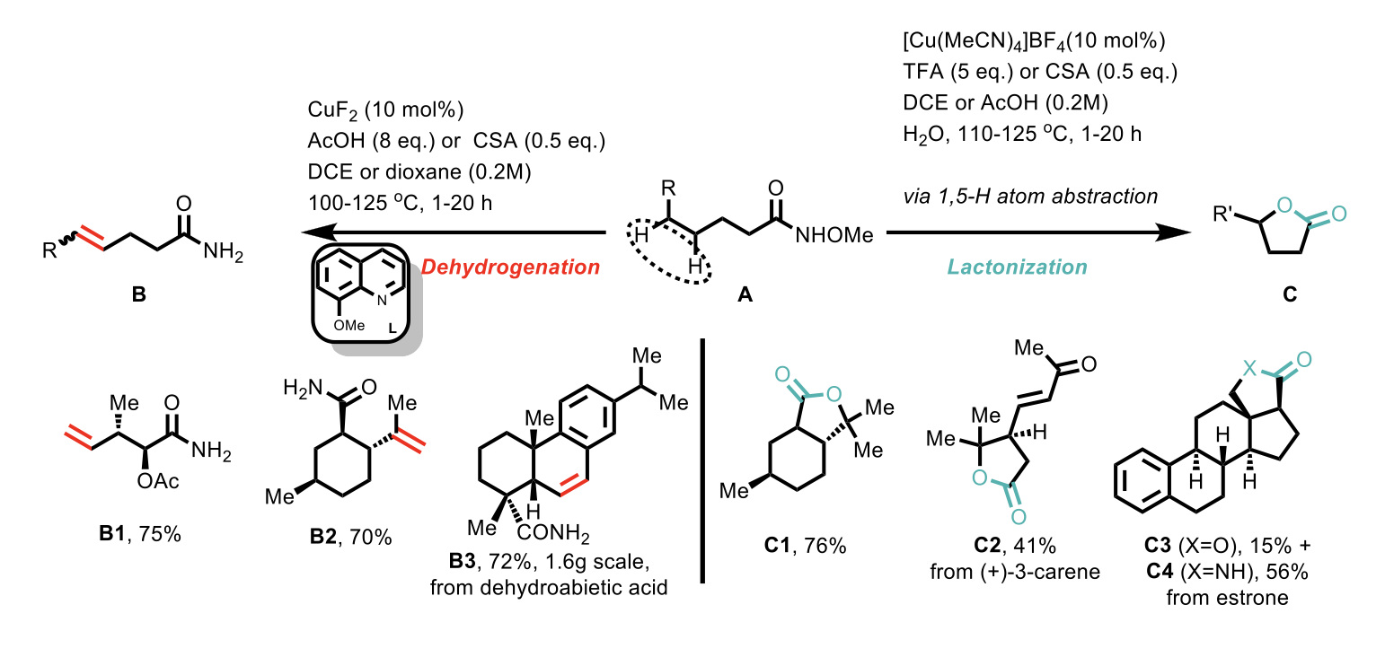Reaction conditions for the dehydrogenation (left-hand side) and lactonization (right-hand side) transformations.