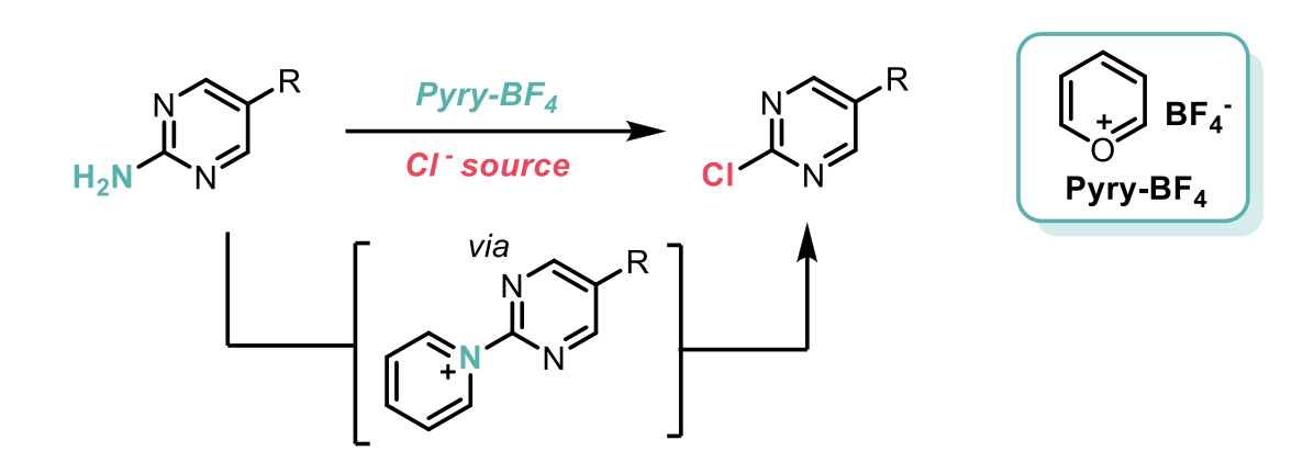 Synthesis route