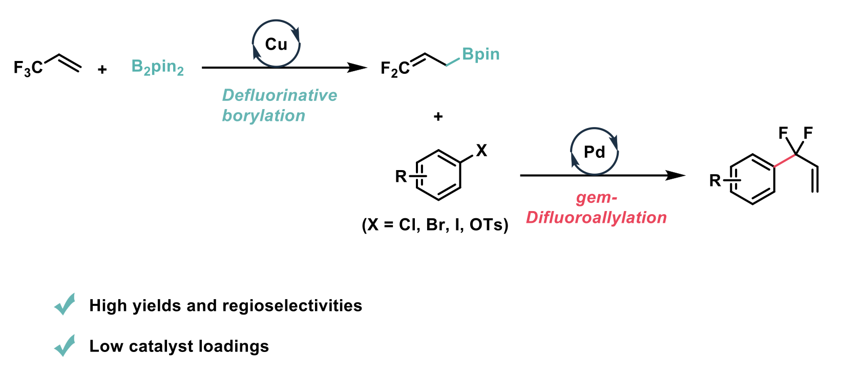 Schematic of gem-Difluoroallylation of Aryl halides and Pseudo Halides with Difluoroallylboron Reagents