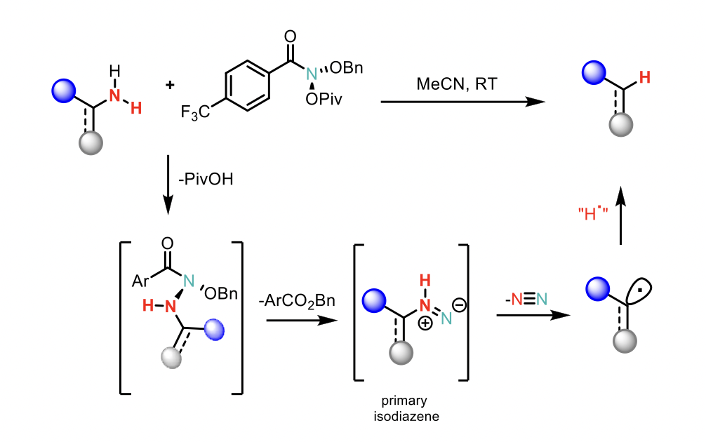 Schematic of example reaction Deamination of Primary Amines