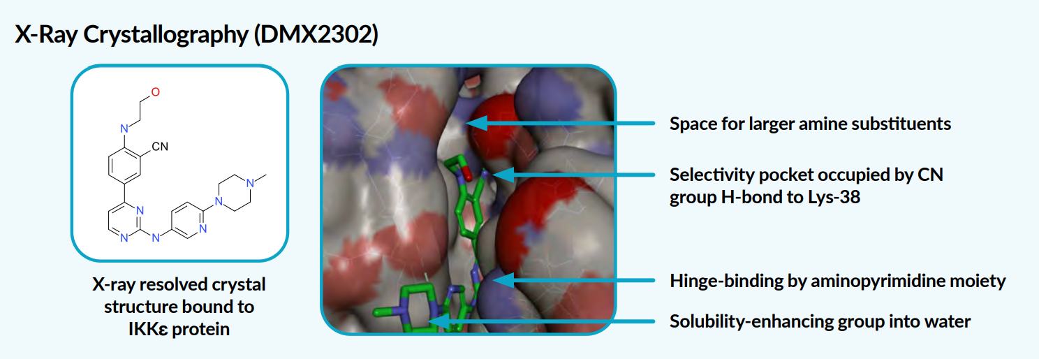 X-Ray Crystallography