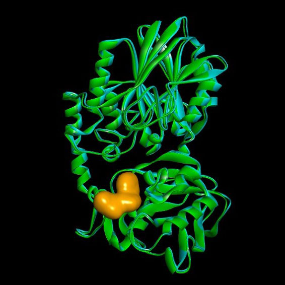 X-ray crystallography