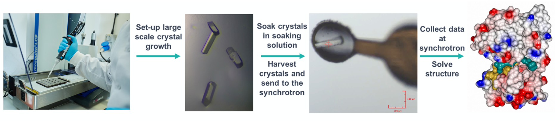 Crystal Soaking System