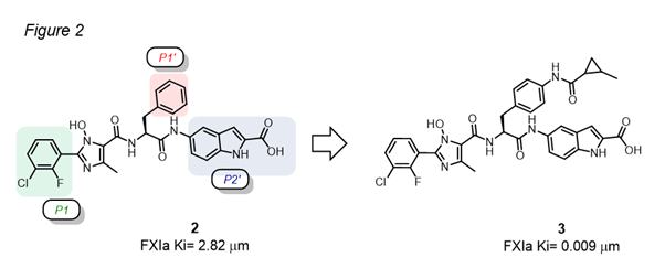 Figure 2 - the discovery of novel FXIa inhibitors 