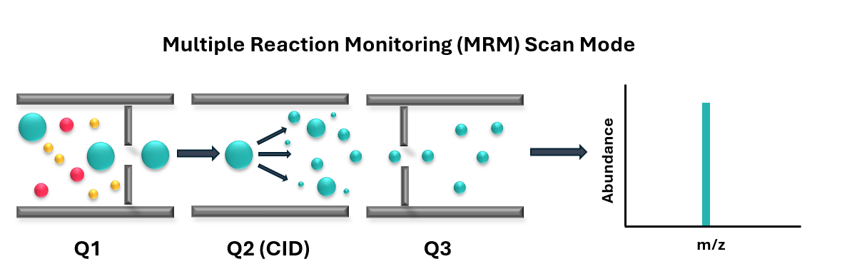 hematic diagram of triple quadrupole mass spectrometer operating in MRM mode