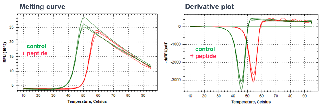 melt curves and derivative plots determined using Differential scanning fluorimetry 