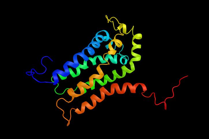 GPCRs image 1