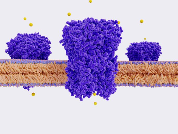 Ion Channels Image 1