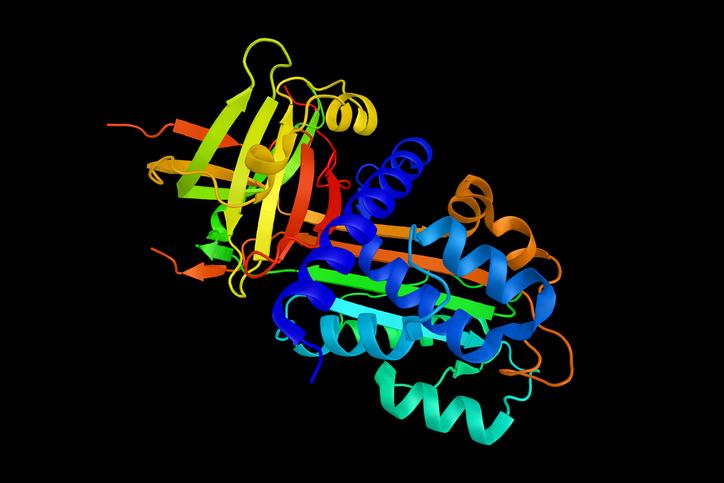Proteases image 1