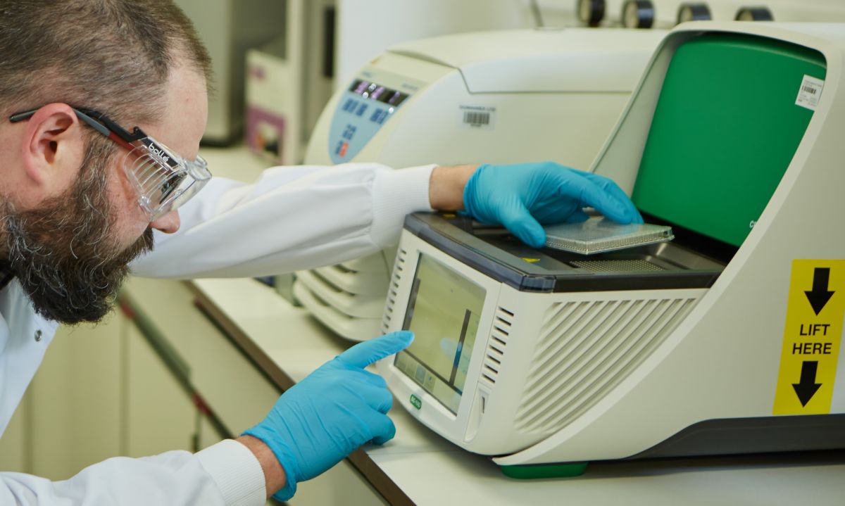 Scientist performs differential scanning fluorimetry experiment