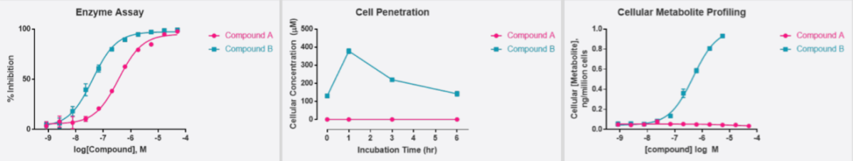 cell accumulation results