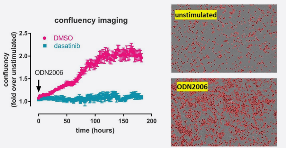 Confluency Imaging Graph