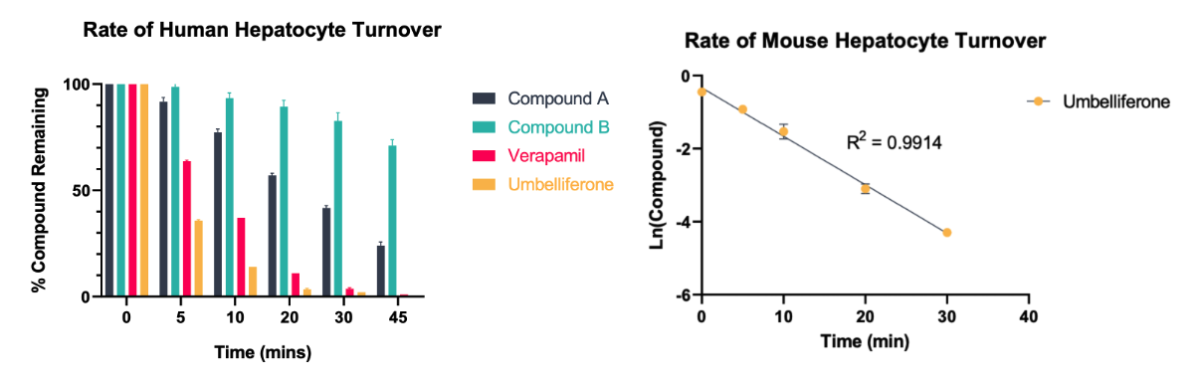 hepatocyte graphs