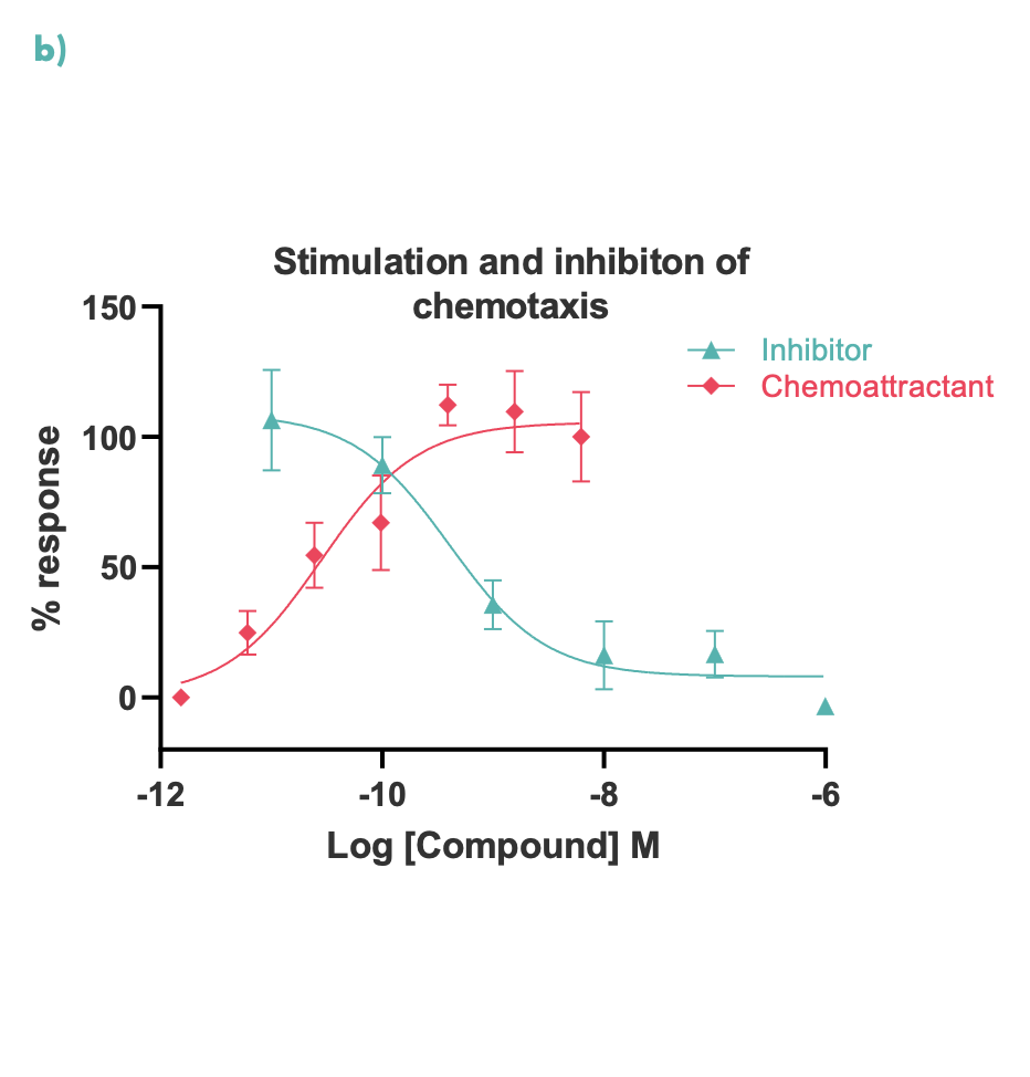 chemotaxis graph