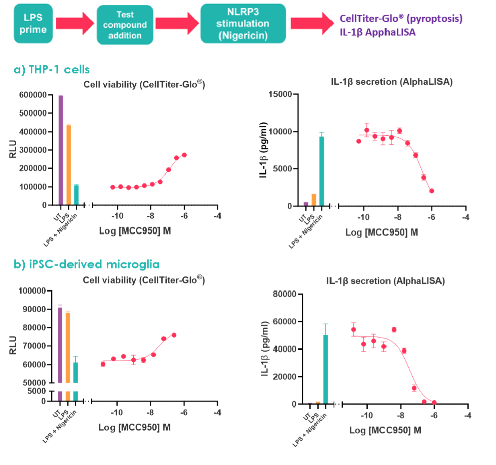 Concentration-response curves