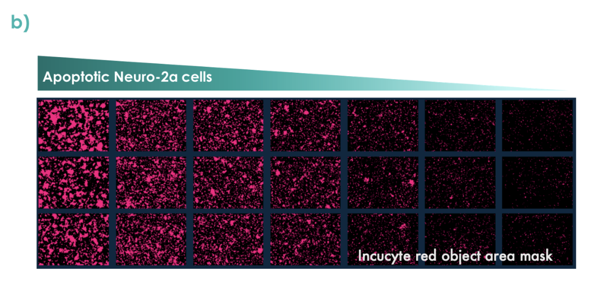 Apoptotic cells