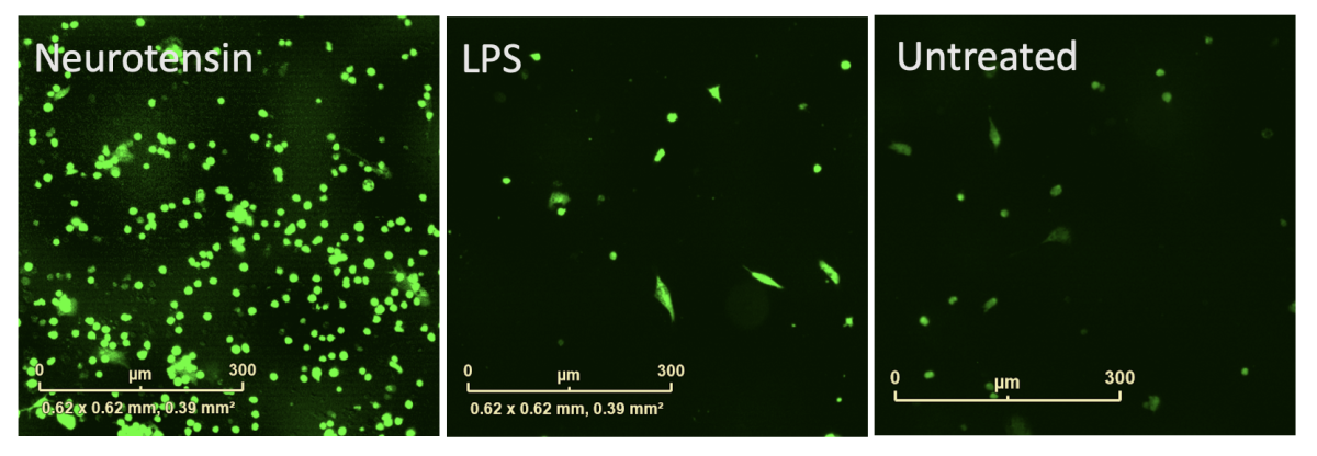 figure 7a