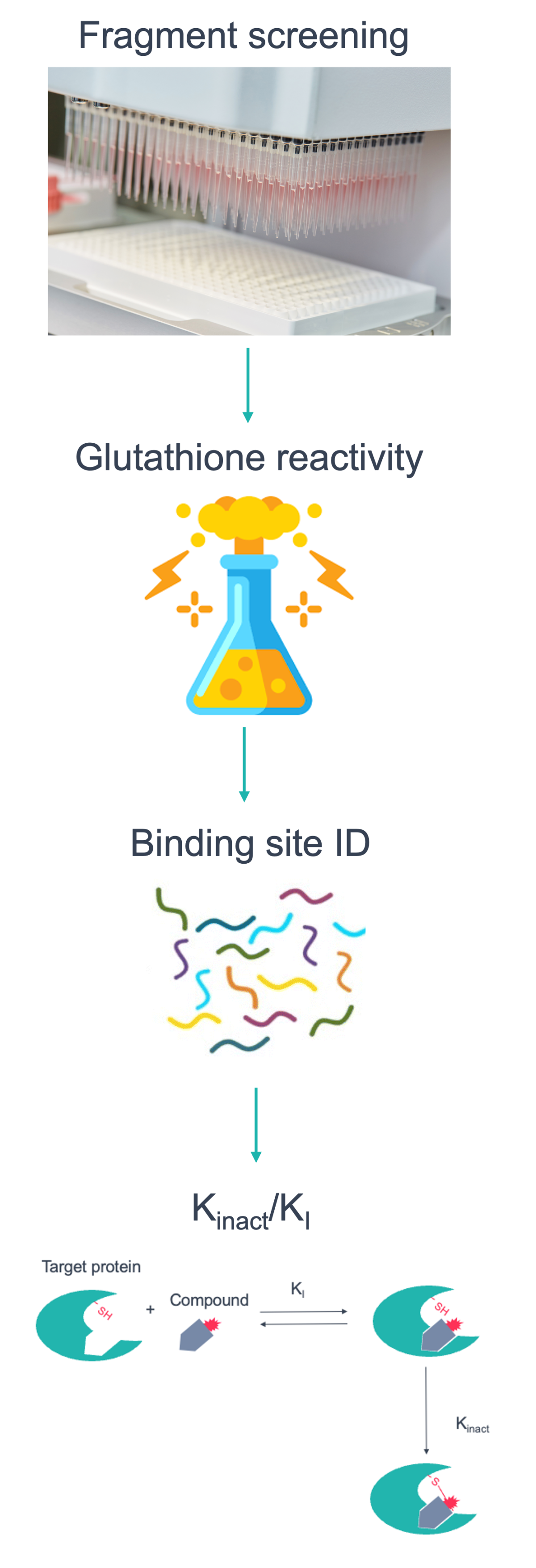 covalent inhibitor flow