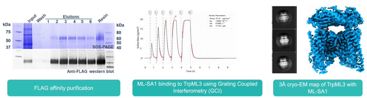 Cryo Em case study graphs