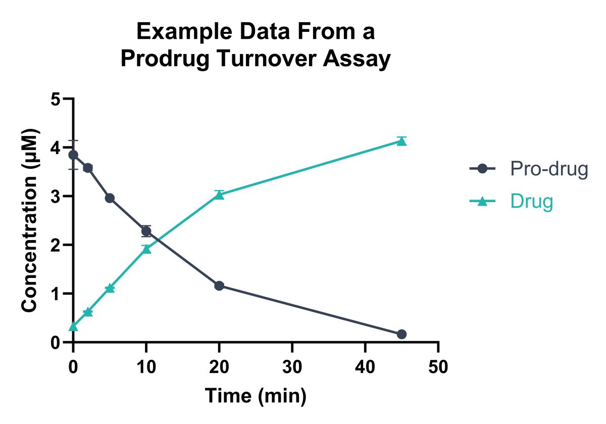 Prodrug turnover assay