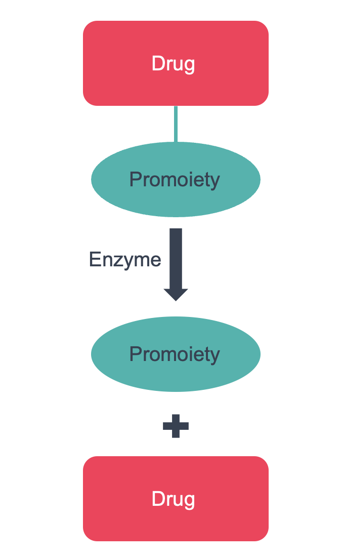 prodrugs figure 1