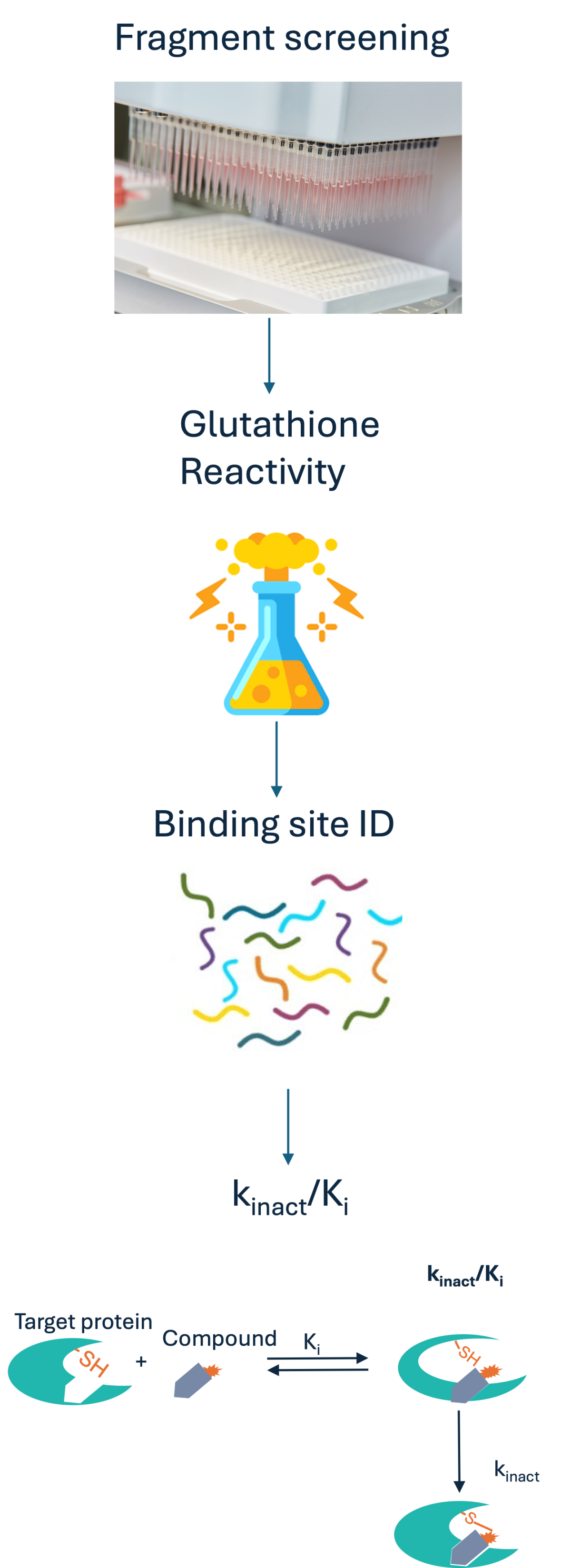 Covalent Fragment MS Based Screening Platform 