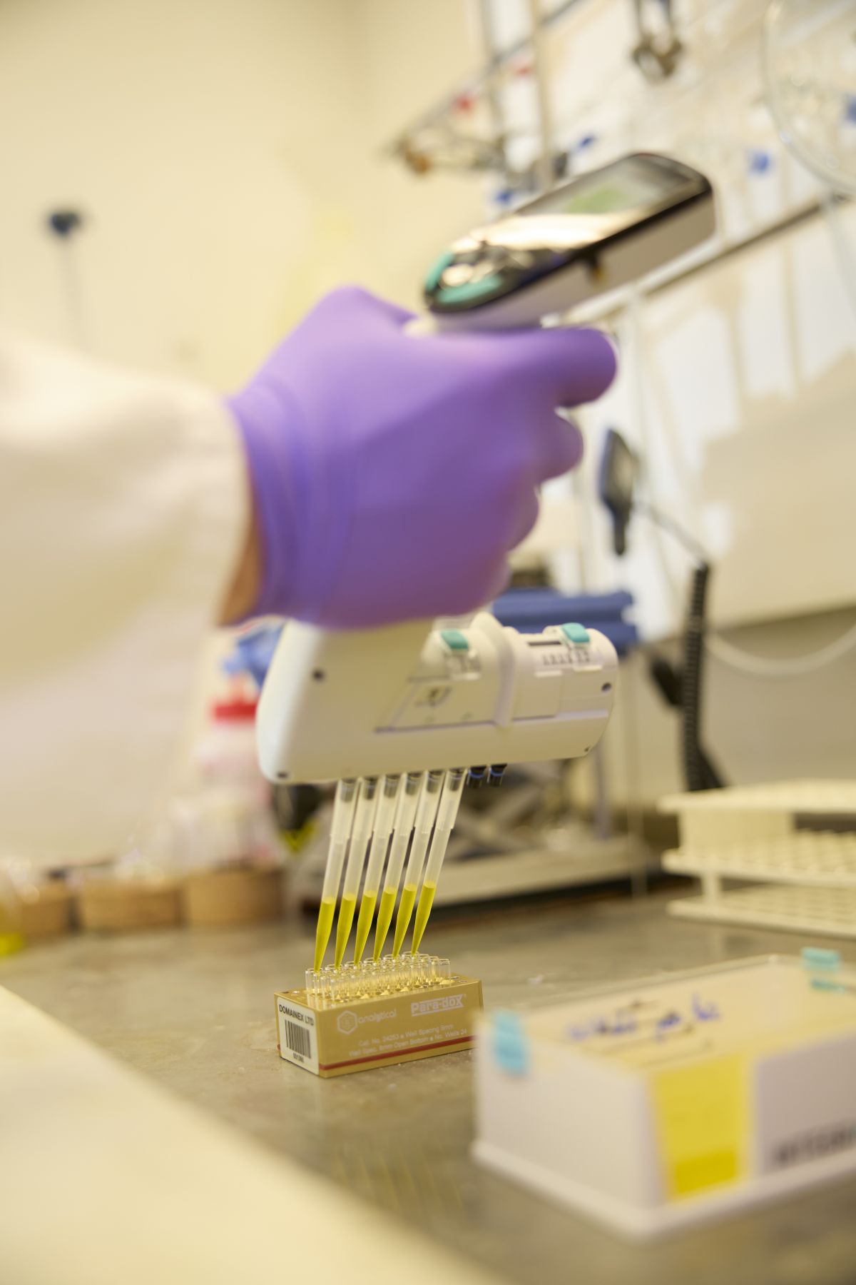 scientist using a multi-tipped pipette