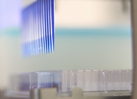 Description of image