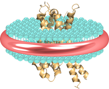 PureDisc - Domainex's Proprietary technology for native membrane protein production