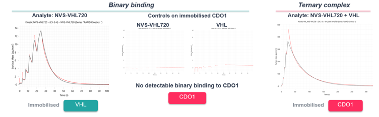Binding curves to show: binary binding and ternary complex formation