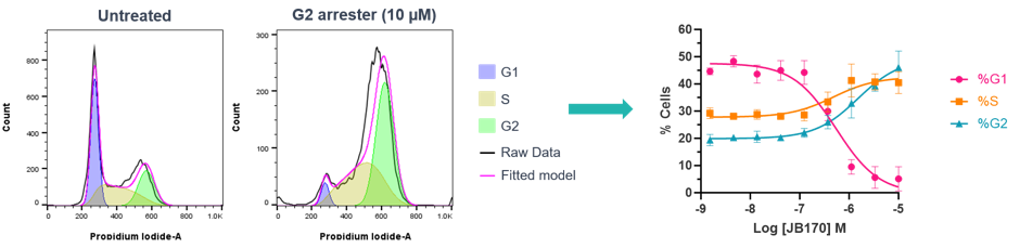 Cell cycle analysis screening data showing effect of a G2 arresting small molecule