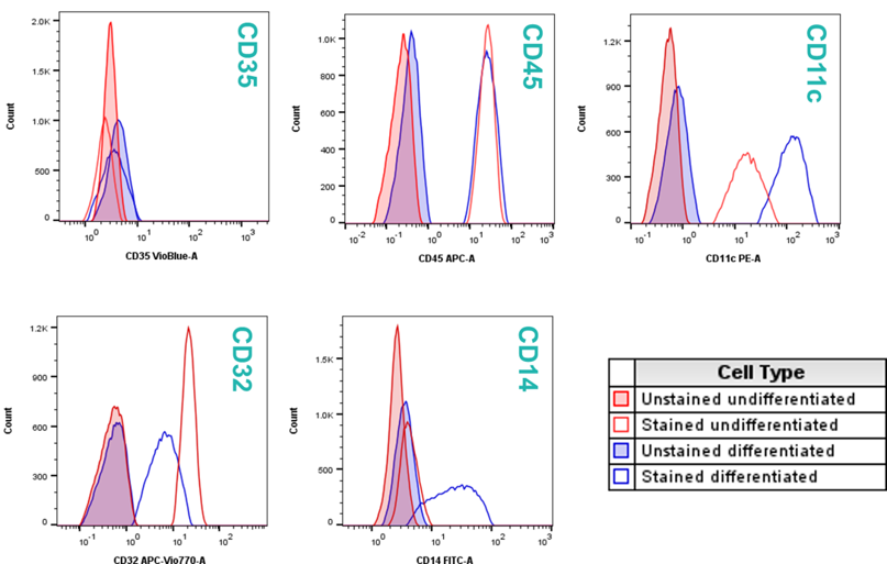 Multi-colour flow cytometry staining panel to validate THP-1 cell differentiation