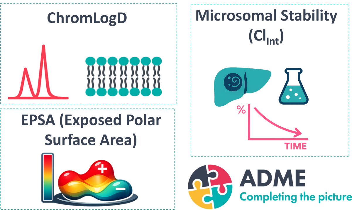 Domainex Direct to ADME (D2ADME) - ChromlogD, Miscrosomal stability and TPSA from crude reaction mixtures
